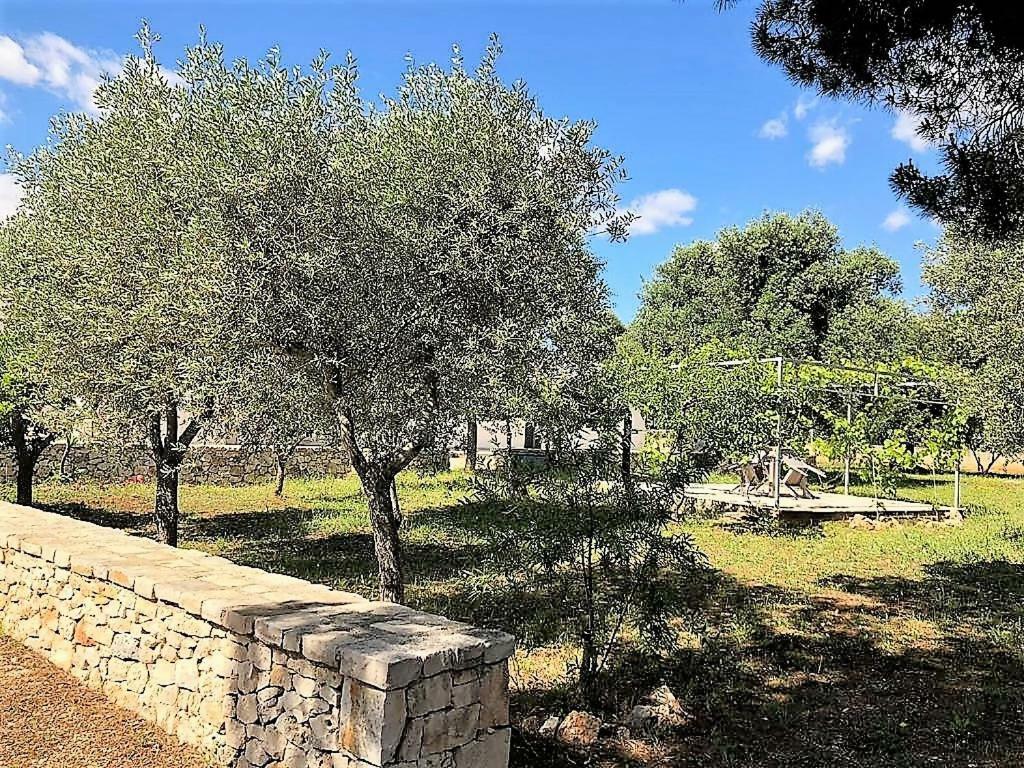 Casa Polinisso Daire Carovigno Dış mekan fotoğraf