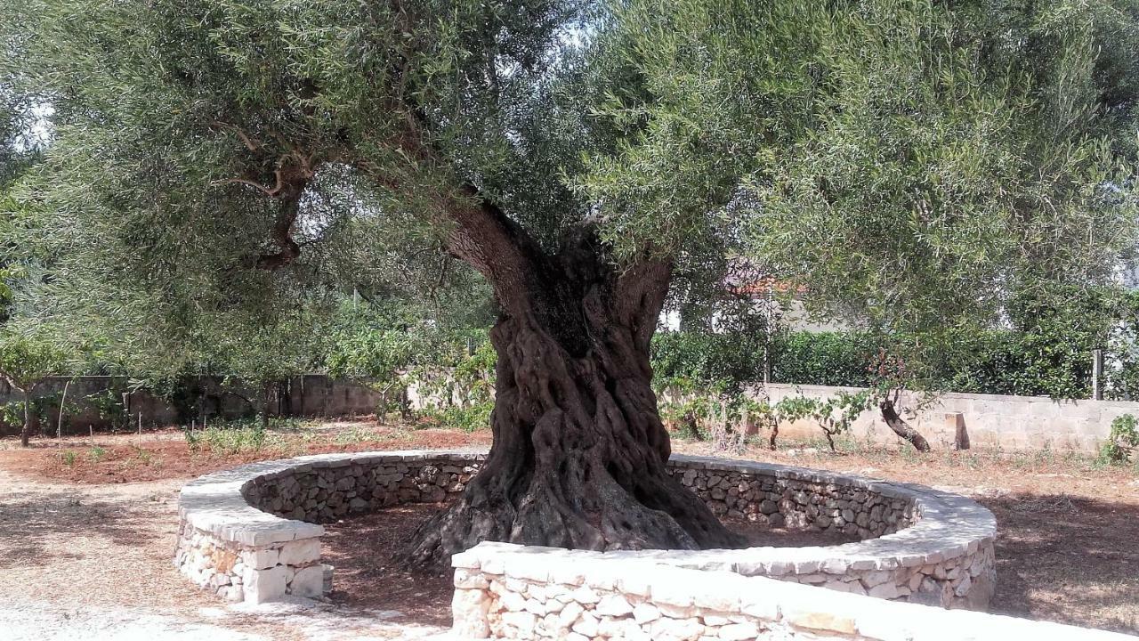 Casa Polinisso Daire Carovigno Dış mekan fotoğraf